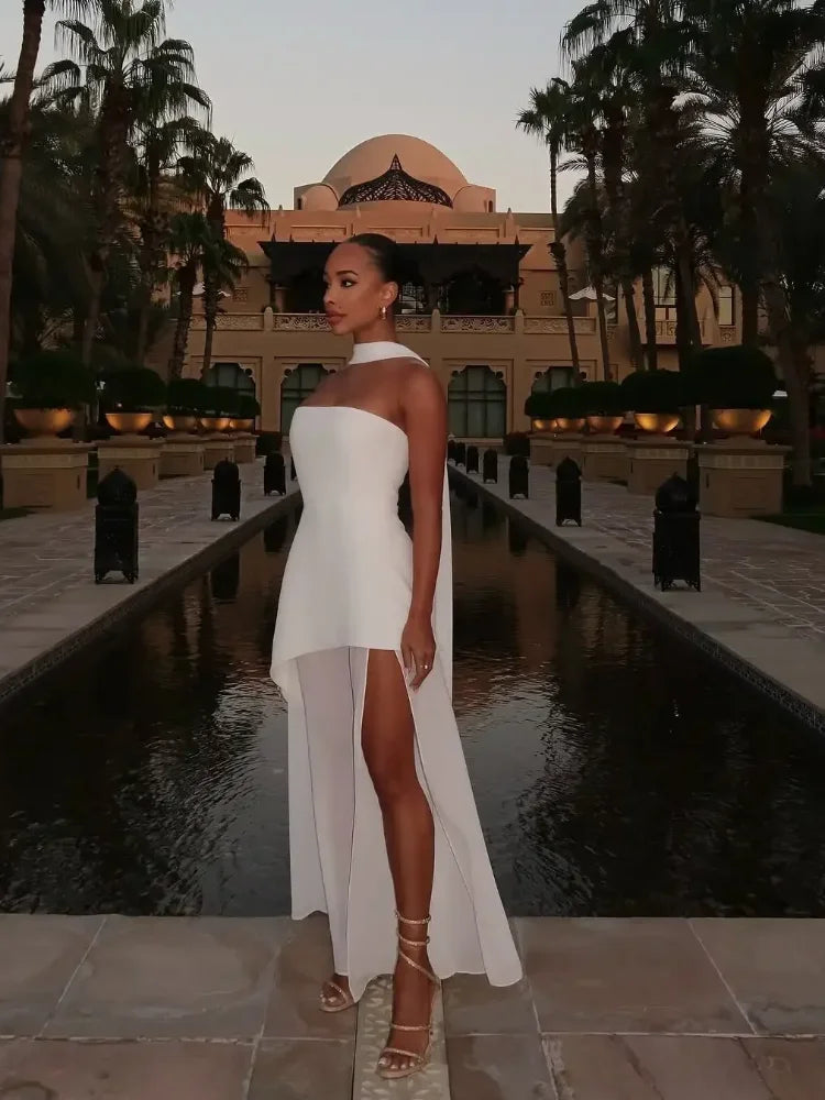 Carolyn Elegant Dress