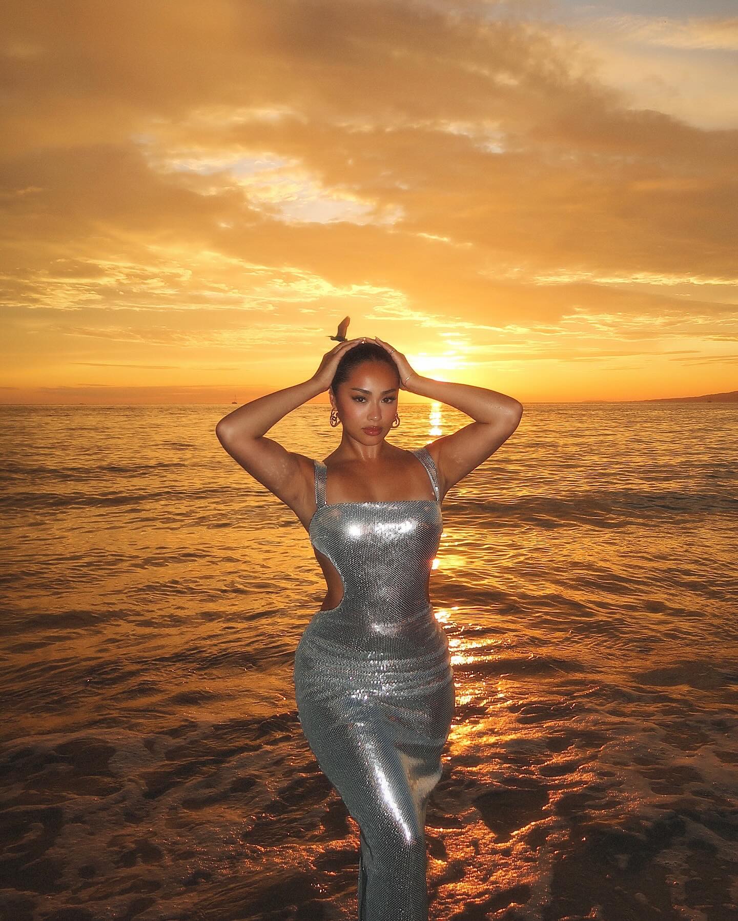 Amanda Sequins Dress