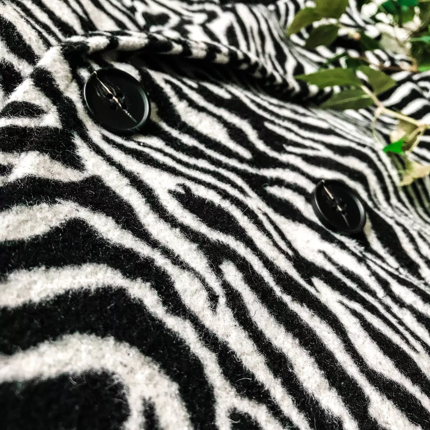 Zebra Print Coat